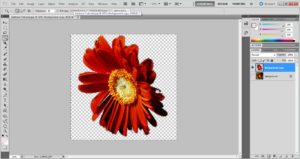 make transparent in photoshop